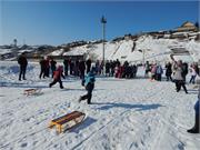  Городские соревнования по лыжным гонкам на приз Администрации Юрюзанского городского поселения - 11